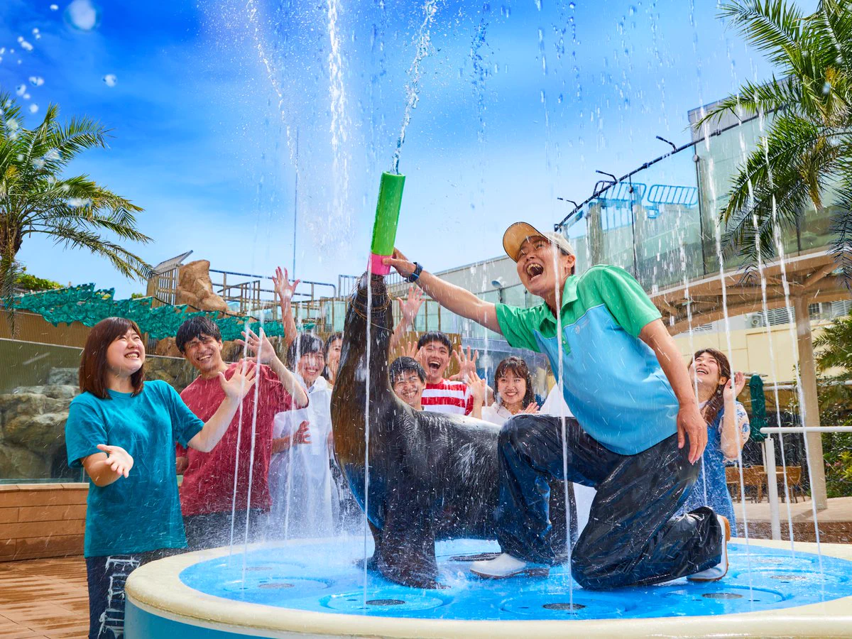 ちょっこと水族館激暑サマーSALE中！！ サンシャイン水族館 on X: 