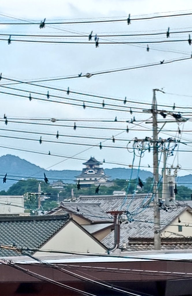 Mee12Aloha's tweet photo. アサソラ＆アサシロ！

おはようございます。
時々陽は差すものの曇り空の尾張北部
蝉の声も日に日に大きくなってきました。
今週はかなり暑くなりそうです。
水分補給をしっかりして、涼しくお過ごしくださいネ🤗

良い一日を！

 #犬山城 https://t.co/Dp3OrHjcSQ
