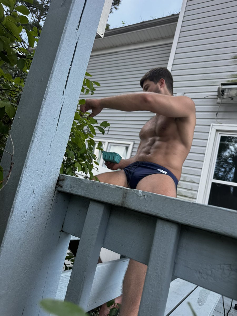 BaianoSamuel's tweet photo. Peak blueberry season 🫐 https://t.co/dl6C2gv5KE