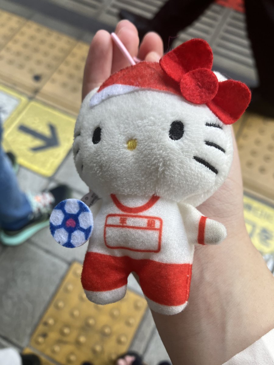 mentaikotops's tweet photo. 駅でぬいぐるみを落としてった人がおったから「落としましたよ！」って言ったら「私じゃないです」って言われた…捨てる訳には行かんしどうしよう… https://t.co/Iv5c59kXn6