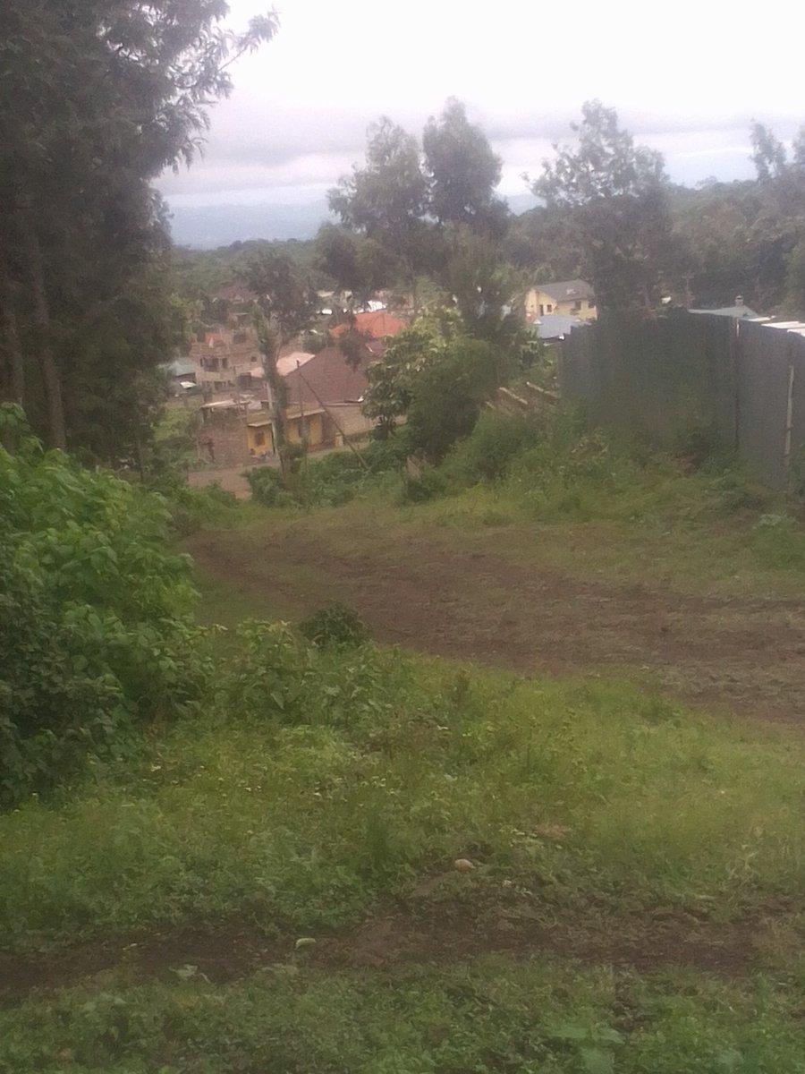 selector_s37510's tweet photo. Goodmorning from meru kenya https://t.co/0BDaP15vPT