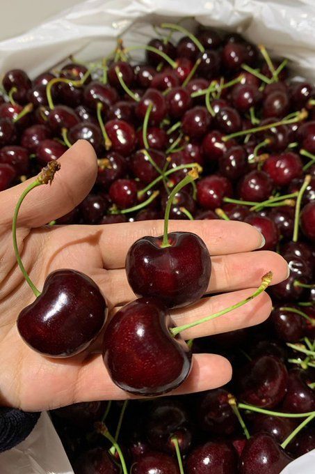 greenvibe's tweet photo. Dark cherries https://t.co/ejzHuuMf9l