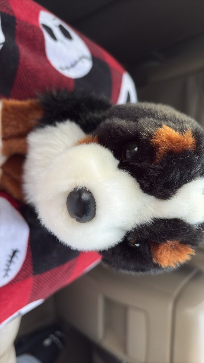 pupunawa's tweet photo. scout is finally with me (and my boyfie) https://t.co/UN64qZfsg0