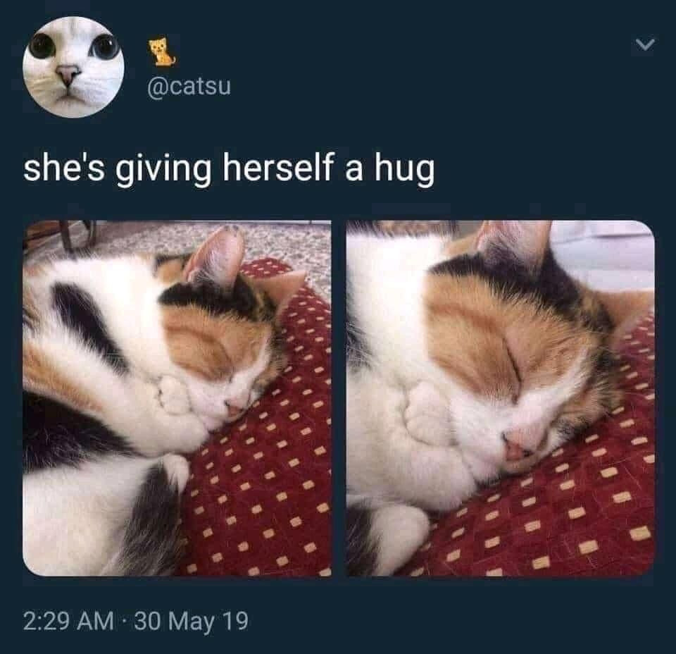 only cute things tweet media