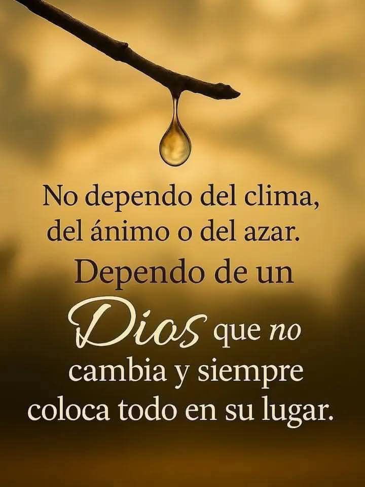 LQuino47372's tweet photo. https://t.co/8QcgdP4DDS