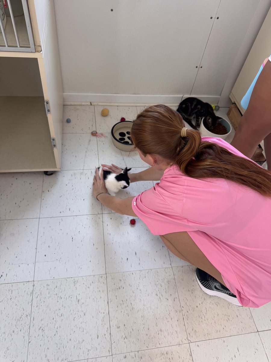 holmeswsoc's tweet photo. We loved getting to help out at Webster Animal Shelter!! 🐶 https://t.co/LKIMpLooV2
