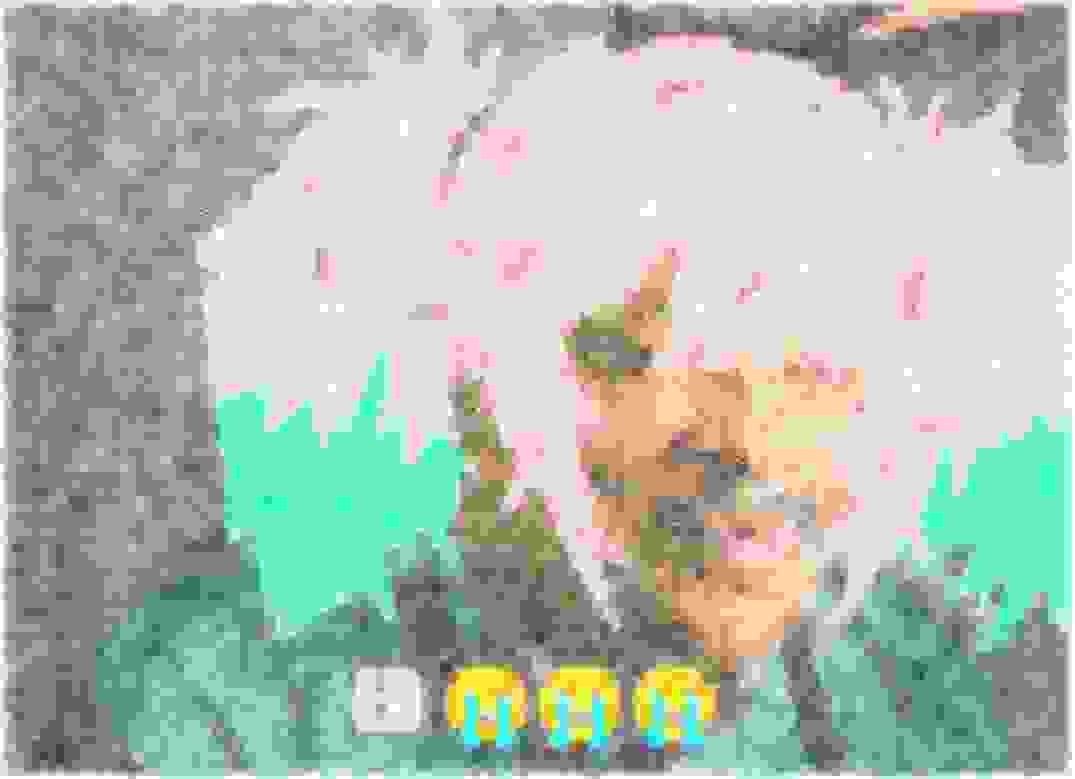 Bach | ๐ฅ๐ช tweet media