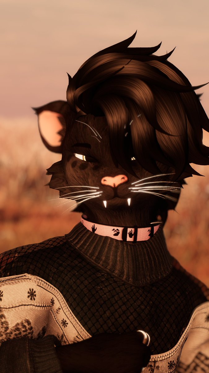 ShilohFloofVR's tweet photo. ermmm waht the meow meow~ https://t.co/CIeIY9xRbc