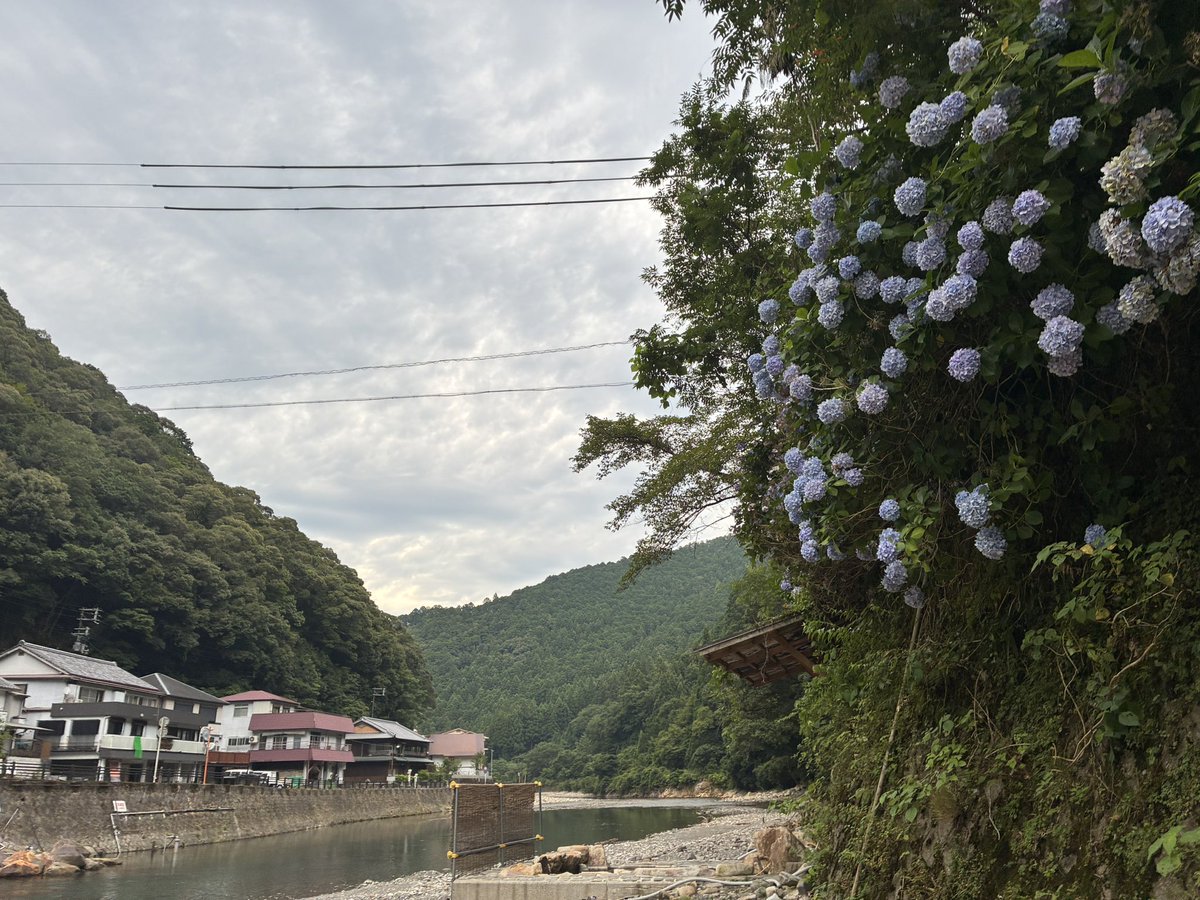 yuyama12's tweet photo. 民宿の目の前にあった薬師の湯

ちょうどいい湯加減でした。
この時期は紫陽花が頭上にあって楽しい。 https://t.co/iguIve0i7l