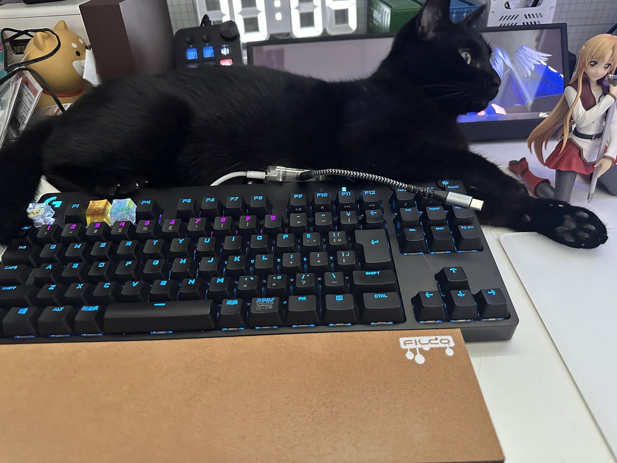 turner_nami's tweet photo. いつエスケープ押されるかハラハラドキドキしてる https://t.co/Ujfu48zZMy