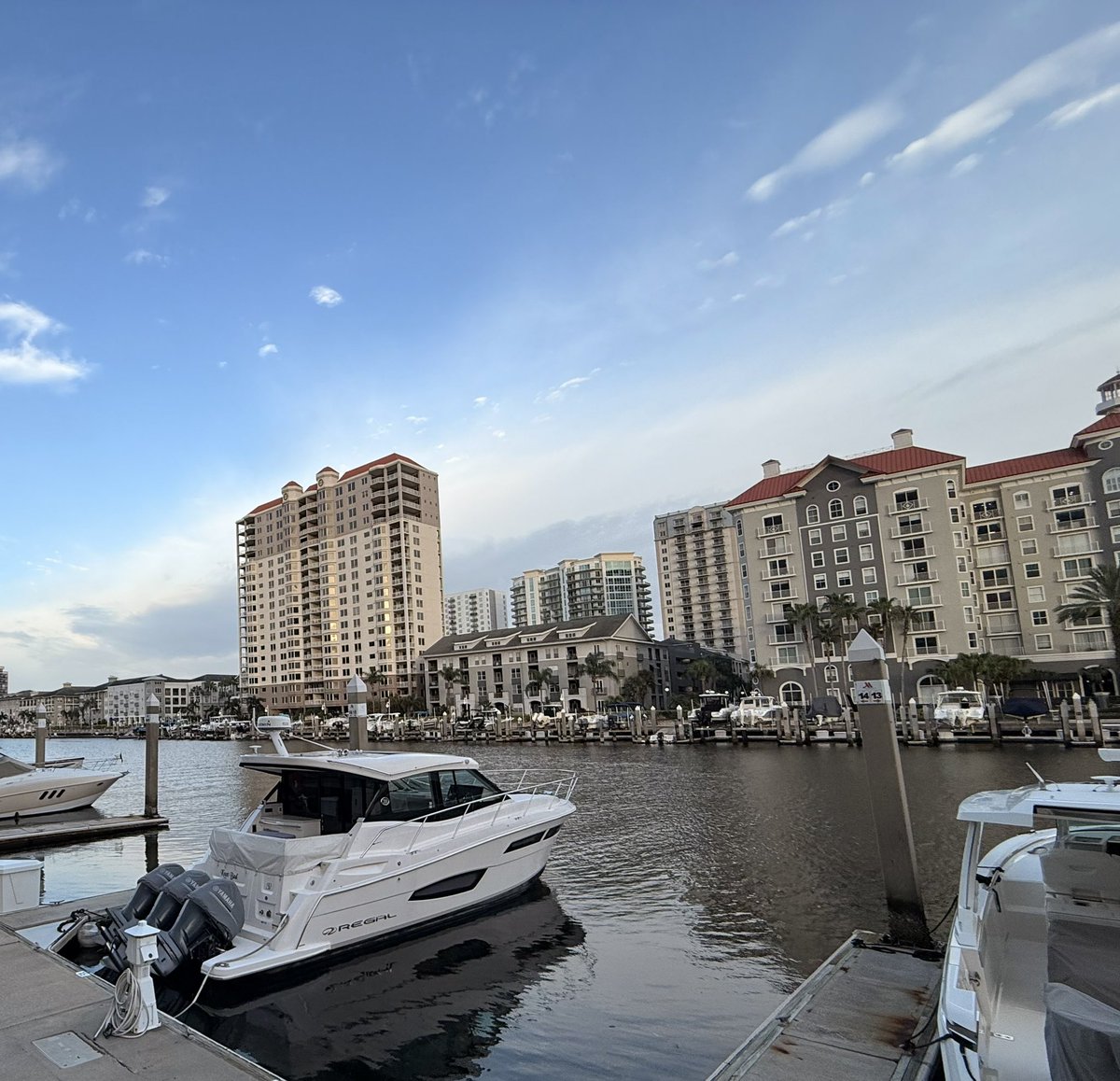 MShudaifat's tweet photo. Tampa Bay, Florida ☀️ https://t.co/NuROICLbcy
