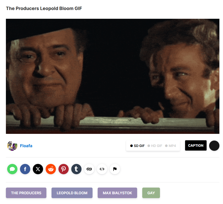 ProbablyPen's tweet photo. #theproducers #leopoldbloom #maxbialystok #gay https://t.co/wwwvDqk2NO