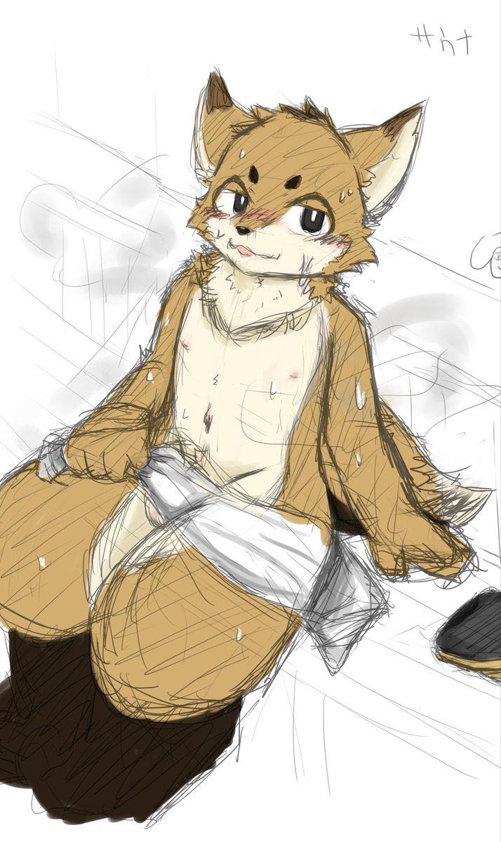 anmomoFFQ2's tweet photo. 🦊♨️ https://t.co/0T4K7BIJU4
