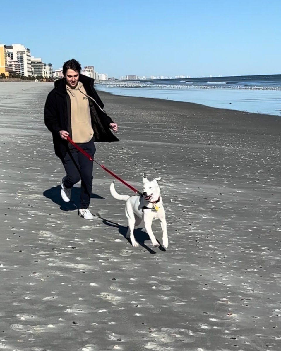 humanecharlotte's tweet photo. "When I adopted her back in December, she was a nervous, scared, timid, awkward dog and while she still may be awkward, she has blossomed into the sweetest, quirky, gentle, loyal little lovebug ever." https://t.co/lbkszfjtFD