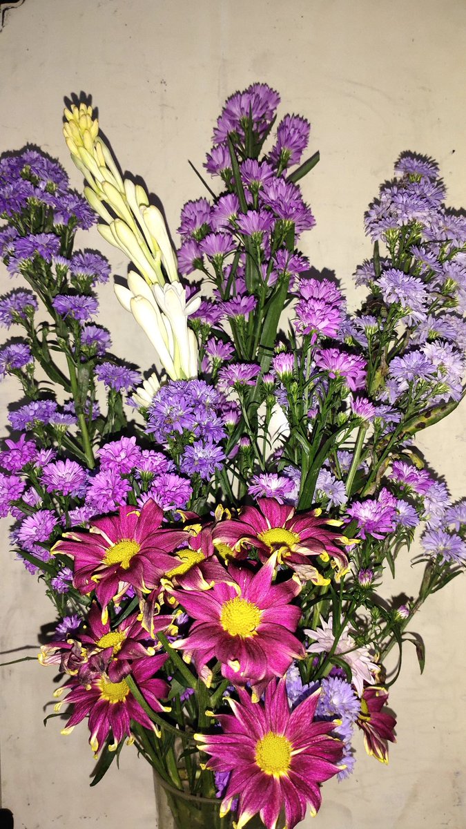 mellowswit's tweet photo. What a cute flowers 🌷✨🌼
Especially from @fullvibes___ https://t.co/ARSbkIUCU6