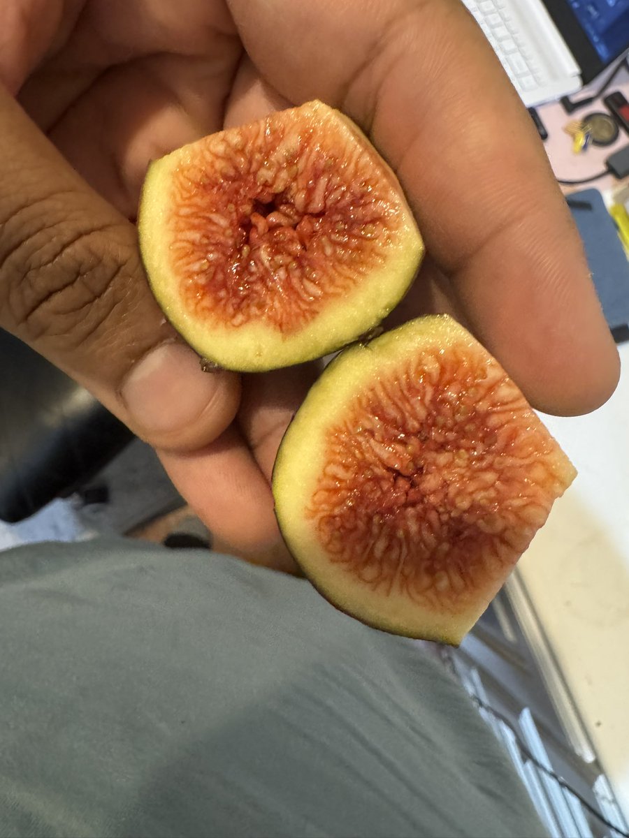 BerryGuilded's tweet photo. Figs from the backyard!💜💜 https://t.co/YR4XUYbMjr