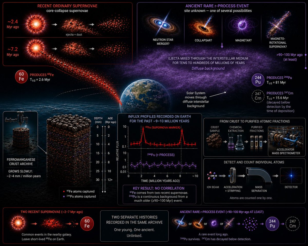 QuantumTumbler's tweet photo. Every atom has a history.

Some of them have been waiting 100 million years to tell it.

A rock growing just a few millimeters every million years at the bottom of the Pacific quietly recorded radioactive debris from ancient stellar catastrophes.

Scientists have now read that record, separating recent nearby supernovae from a much older, rare r-process event that likely forged some of the Universe’s heaviest elements.

It’s one of the coolest examples of doing astronomy without looking through a telescope.

I wrote a breakdown of the paper and the science behind it.

📖 Read here
