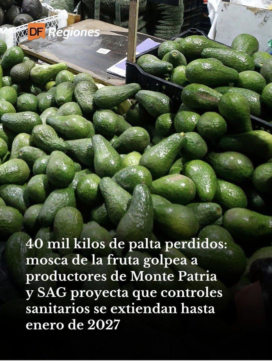 Elchemmsito2_0's tweet photo. Kast yeta #Cadem presidente kast #KastDestruyóChile https://t.co/b8loYA2dRS