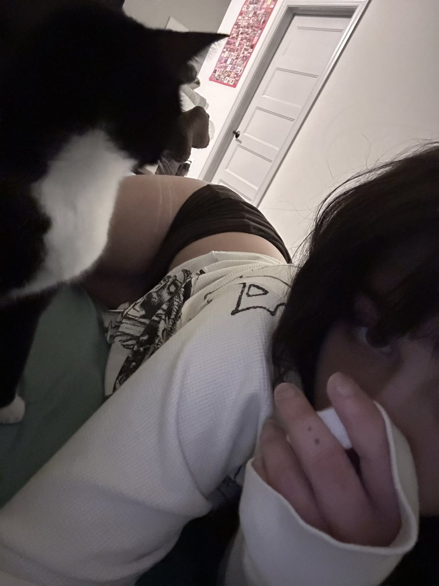 bbatgirll's tweet photo. meow https://t.co/jWb3nV745O