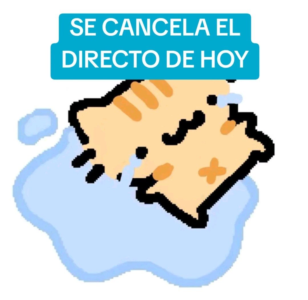 Kissa Castella 🍞🐾 tweet media