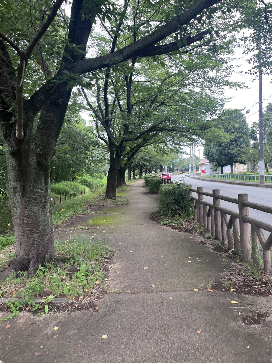 Apolloo72's tweet photo. 曇り空の月曜日にちょっと早起きしてテレワークのウォーミングアップ的な30分のランニング。湿度が高い！😅💦 https://t.co/ol9nwOBemx