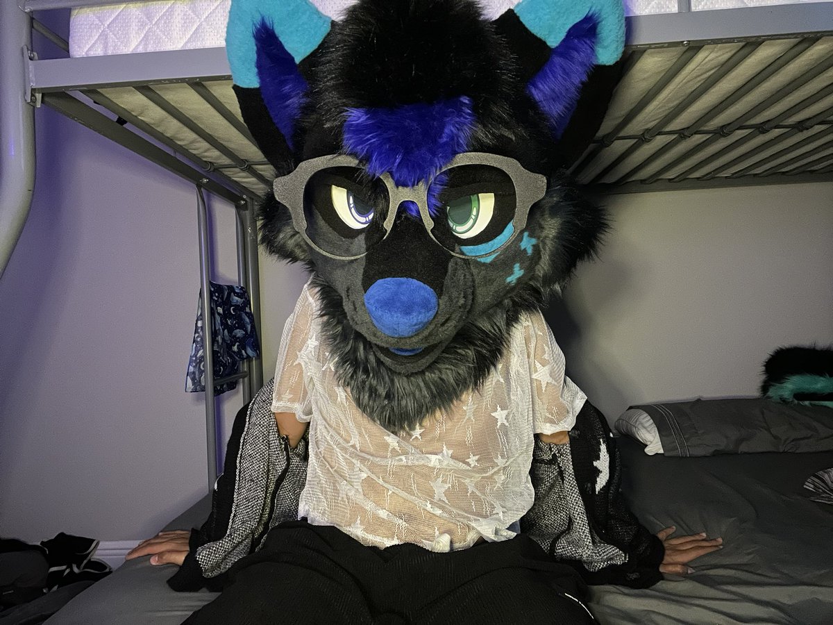 ArvoFreakyShark's tweet photo. New outfit :3 https://t.co/wyyOo7PwS2