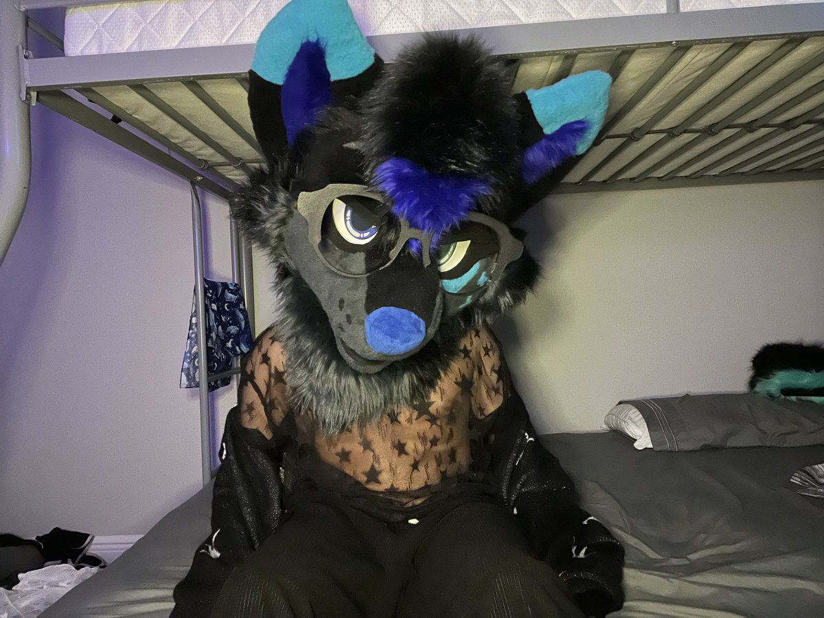 ArvoFreakyShark's tweet photo. New outfit :3 https://t.co/wyyOo7PwS2