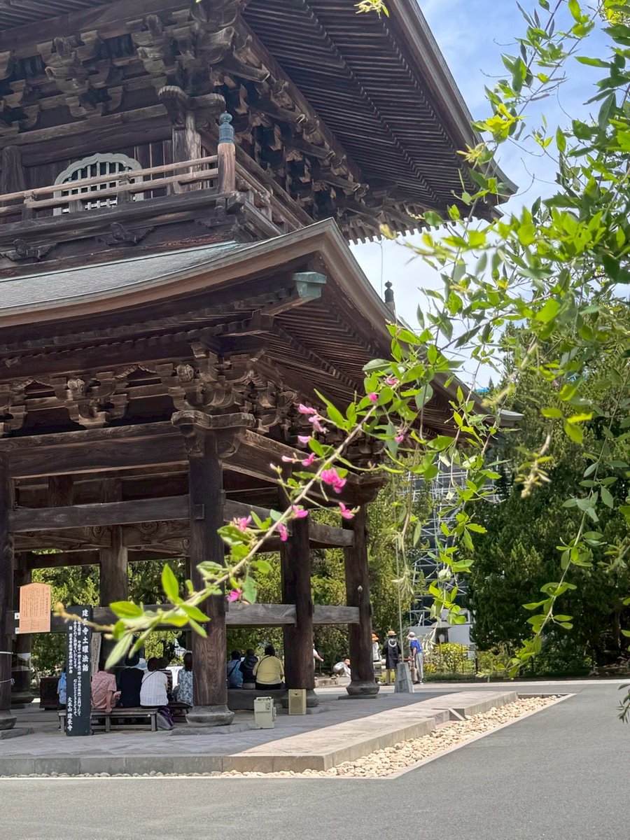 UniLeaf2's tweet photo. 7/11、建長寺「さわる模型を囲むお話会」

73名もの方が模型に触れて感じ方を聞かせてくださいました。

「この建物は長方形なんですか？」
「目を閉じて触ると少し怖い。」

対話を通し新しい気づきが生まれる時間。誰もが同じ模型を囲み、世界の見え方を交換する場。

🔸次回8/8（土）11:30〜12:30 https://t.co/7TWu5HNOxC