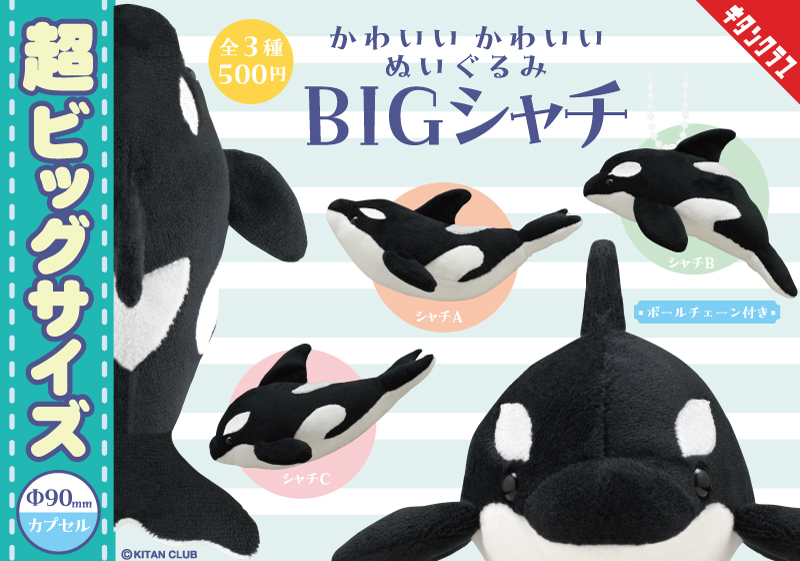 📢再販情報／ 大海原の人気者がBIGサイズのぬいぐるみになった