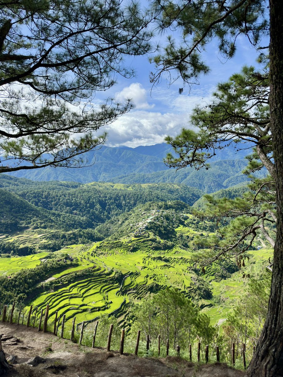ukinnampakU's tweet photo. Mt. Kupapey & Mt. Fato Twin Hike 💚🍃✅✅ #elyu #matt #baguio #mtprovince #maligcong #bontoc https://t.co/uM0t1RfwPt