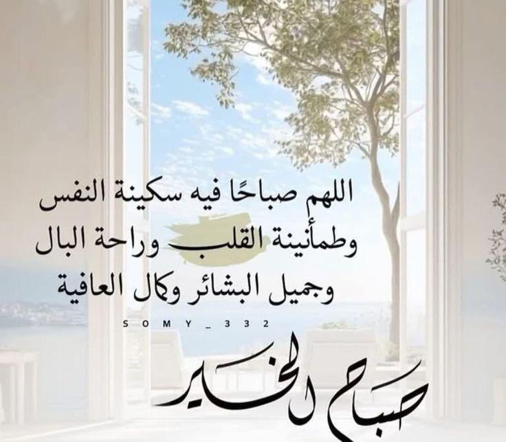 ابن السيب tweet media