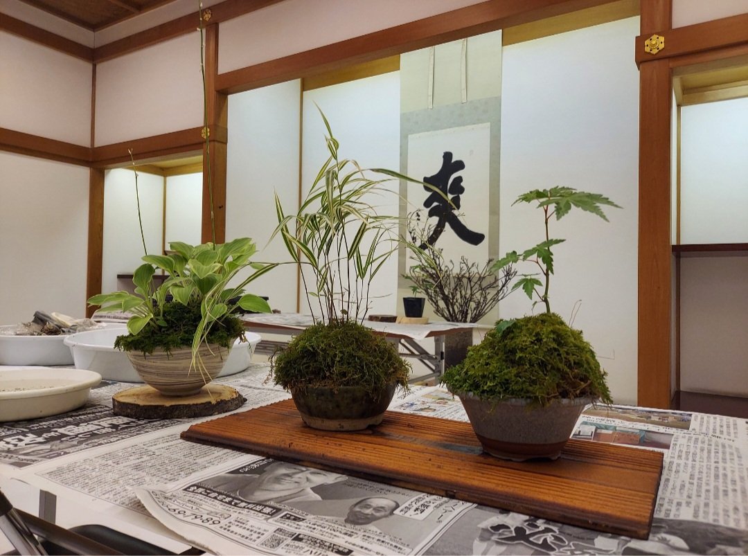 kokoen_official's tweet photo. 7月25日(土)午前9時30分～
｢親子苔玉作り講座｣募集のお知らせ
締切　7月22日(水)17時
メールにてkoukoen@himeji-machishin.jp
必要事項　件名・住所・郵便番号・
参加者(小学生と保護者)の氏名・年齢・電話番号・学校名と学年
ご応募お待ちしております！
#好古園
#姫路 https://t.co/ybwoLXWtE5