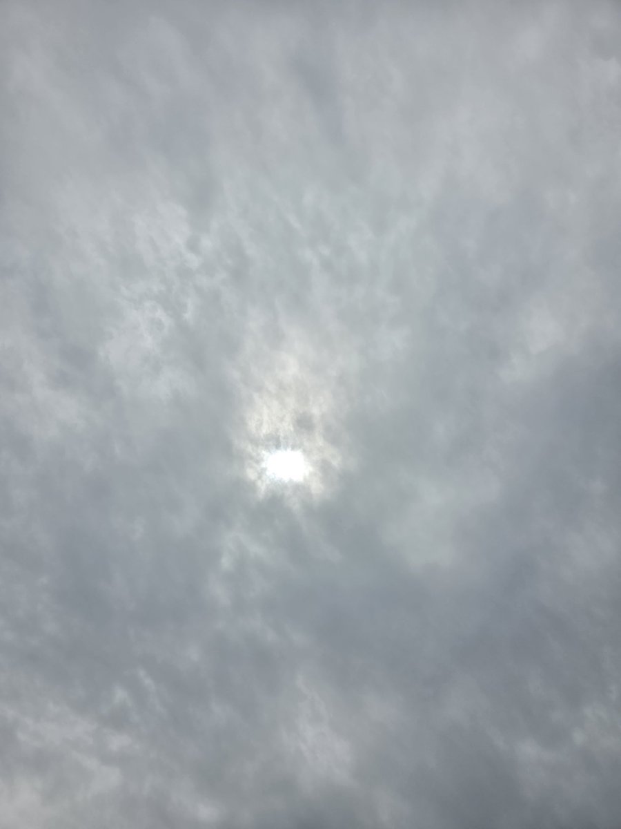 cranebook's tweet photo. 2026. 7. 13

本日の業務ただいまより開始いたしました。
本日もよろしくお願いいたします。 https://t.co/dPcOqOYIPu