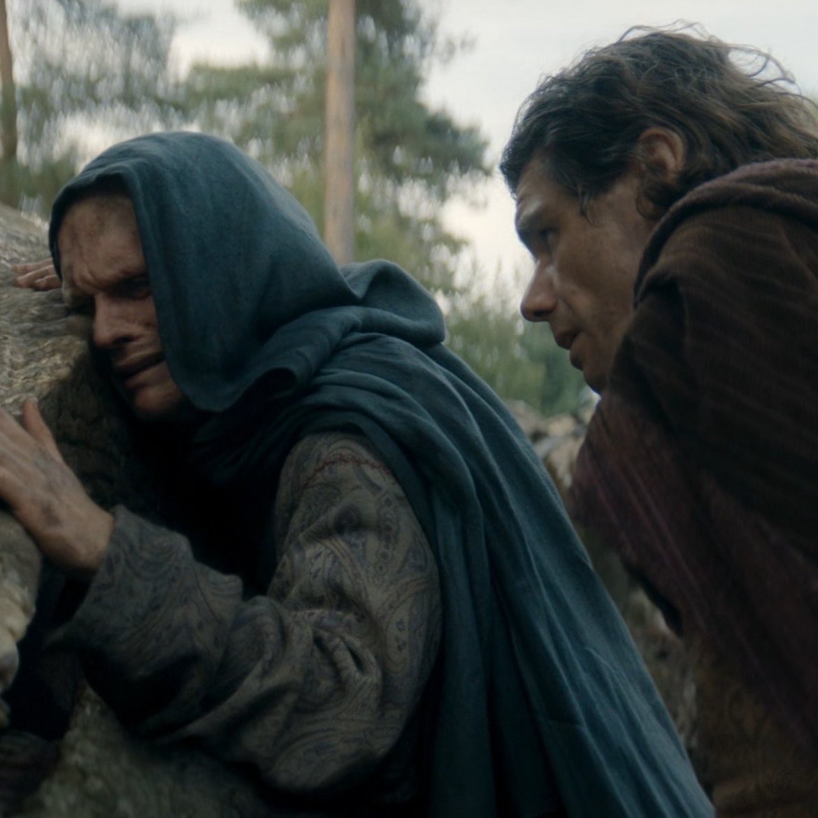 tom glynn-carney files tweet media