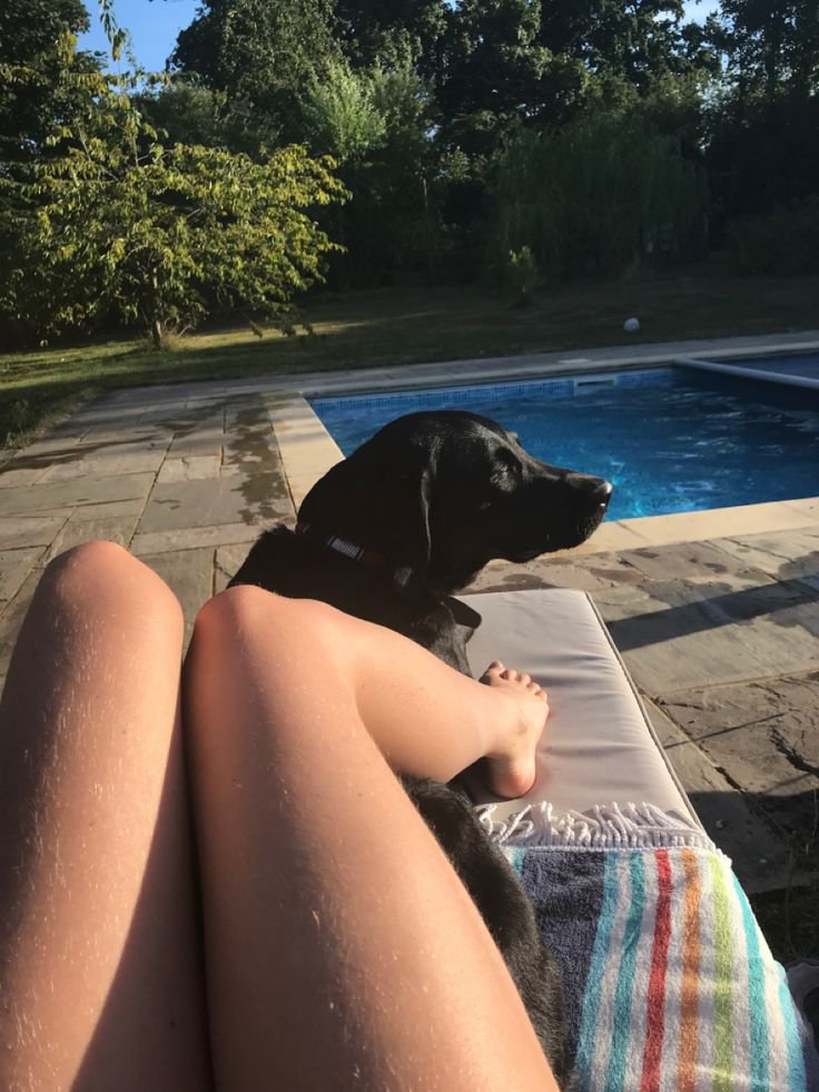 Knottskimberly0's tweet photo. So lovely having you around me🐾💦❤️ Message me through my telegram link https://t.co/PuUuPGx92R for my exclusive contents and menu🔞

#doglovers #k9 #girls #me #beastiality #zoophilia #blond #zoo #lovel #doggy #premium #houston https://t.co/9GJw1auYFn