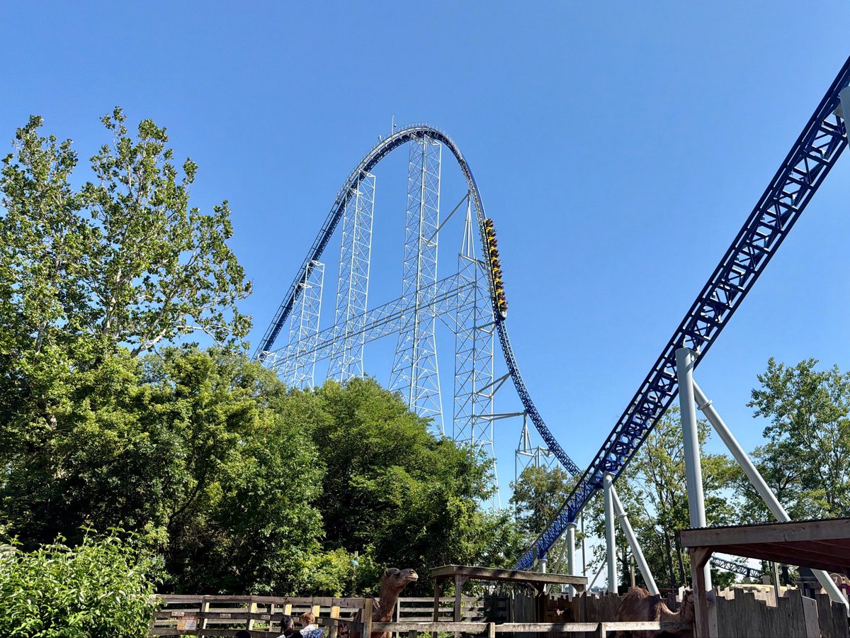Attractions 360° tweet media