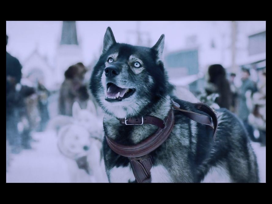 Susan11556's tweet photo. Clara sits down on the couch, tired but satisfied. The apartment is clean, the laundry is done, and she’s had a relaxing morning. She checks her phone, seeing a text from Mia: “Wish I was there too! Have a great afternoon!”🔌
Inspire someone hopeless each day.226827 https://t.co/BJha5sKmBq