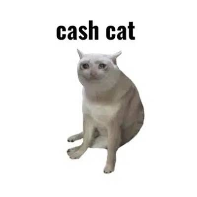 CashCat tweet media
