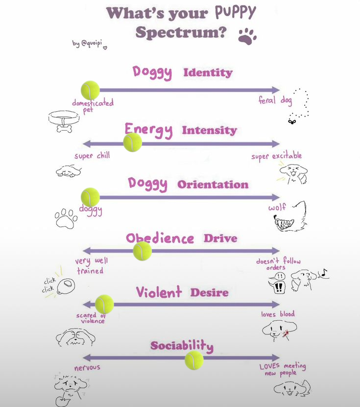 Opal_Mutt's tweet photo. 🐶 🦴 🐾 I mean, its not far from the truth. Pretty accurate. Arf!

#puppyboy #pupplay #dog #submissive #lewd #nsfw #nsfwtwt https://t.co/d11vtA3t1g