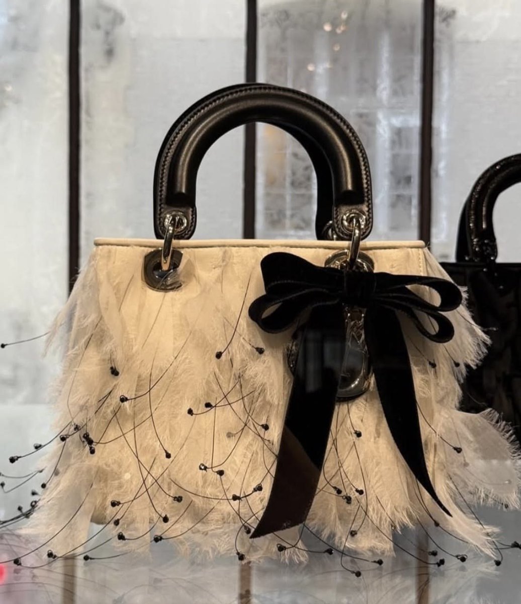 Lin_da_121's tweet photo. The perfect bag for every occasion.🎀💼 https://t.co/CGCXBou6Bf