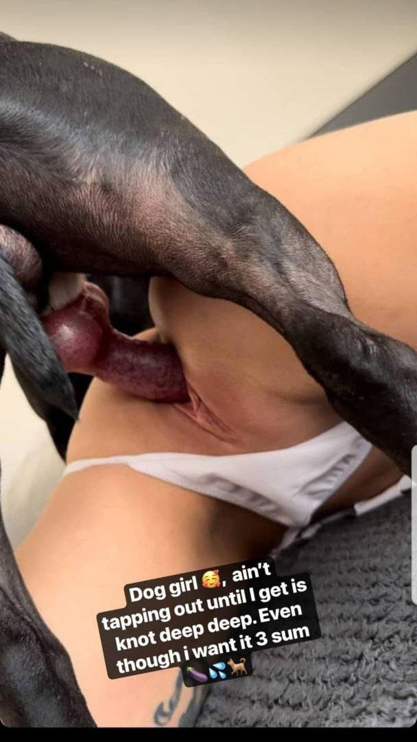 VelvetPetquuin's tweet photo. Enjoy premium content with me and my dogs ♥️🐾🥰 
Dm me on telegram https://t.co/nwr8HCiPKc #teenagegirls #NoLimit #Zoophilia #zopositivity #dogknotting
#AUSummit2026 #dogwhore #horsephiles https://t.co/sNBH5RE5Wh