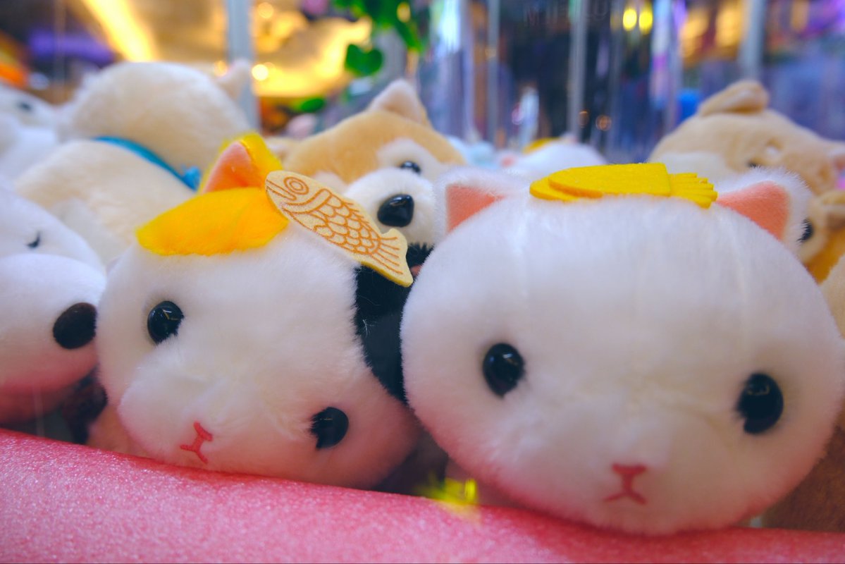 daaapan15's tweet photo. 生理痛がハードでしばらく身動きがとれず。(/ _ ; )行きたかった展示が通り過ぎていく・・・ https://t.co/RgFcHiCapZ