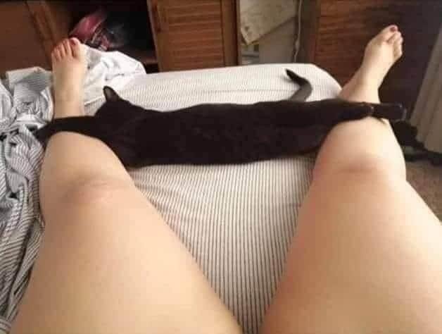 Pkittass's tweet photo. Aquí de relax. https://t.co/C5dHVsN98F