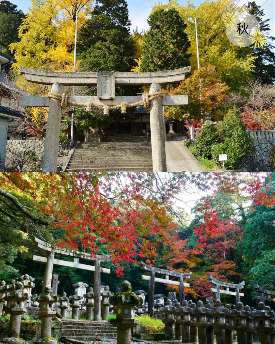 hagi_burari's tweet photo. 萩市の気候は？🌱
 
萩市の気候は、沿岸部においては対馬海流の影響を受けて比較的温暖で、中山間部においては盆地特有の気候で、変化に富んでいます。
 
春は桜、夏は海水浴、秋は紅葉、冬は椿。
季節ごとに姿を変える、美しい萩をご堪能ください😸🍊

#山口県　#萩市　#萩旅 https://t.co/EIqbYJvTVo