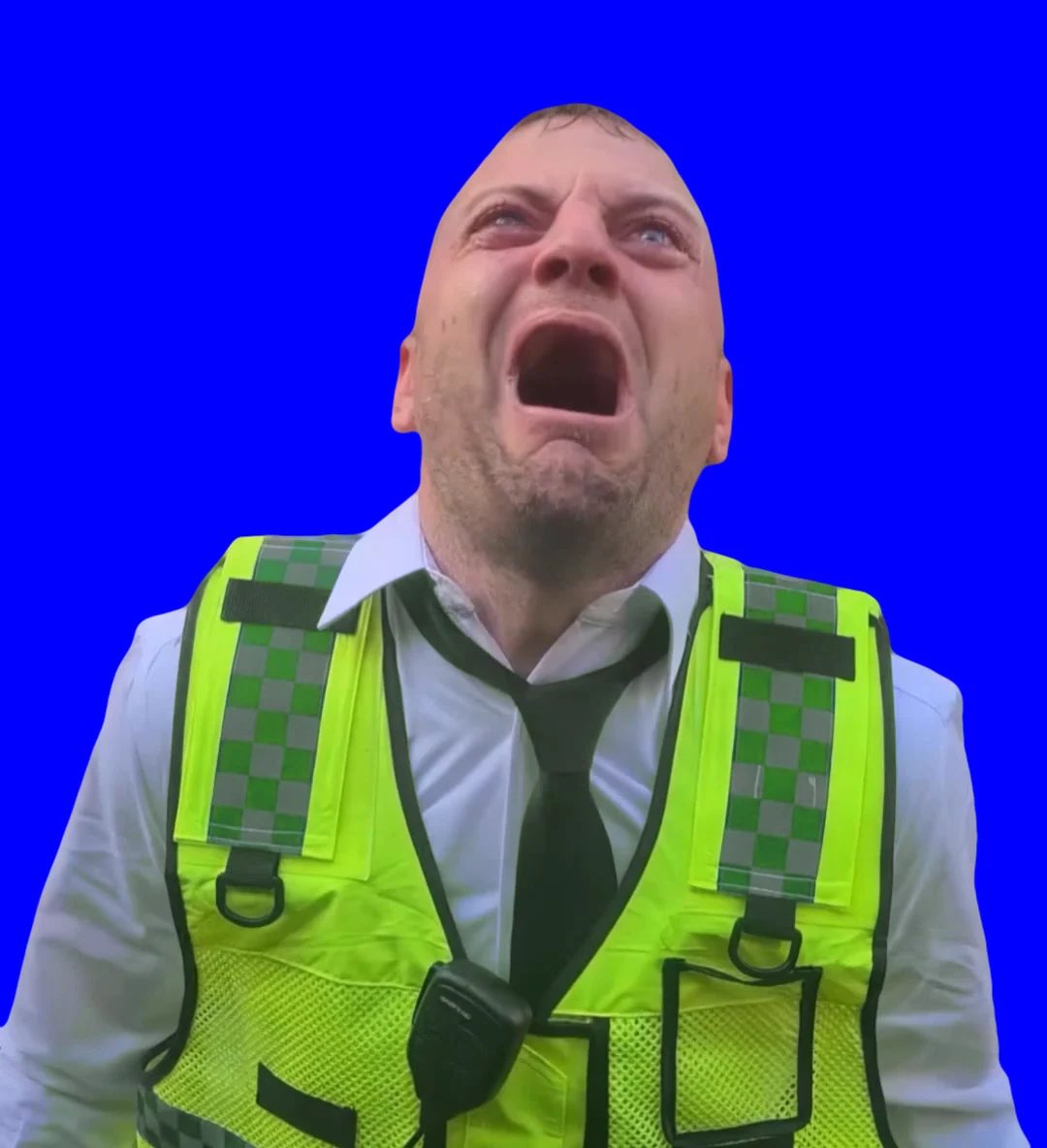 quinnthegm's tweet photo. Ulf not allowed to go to the pub anymore https://t.co/K2ZxnRUzQN