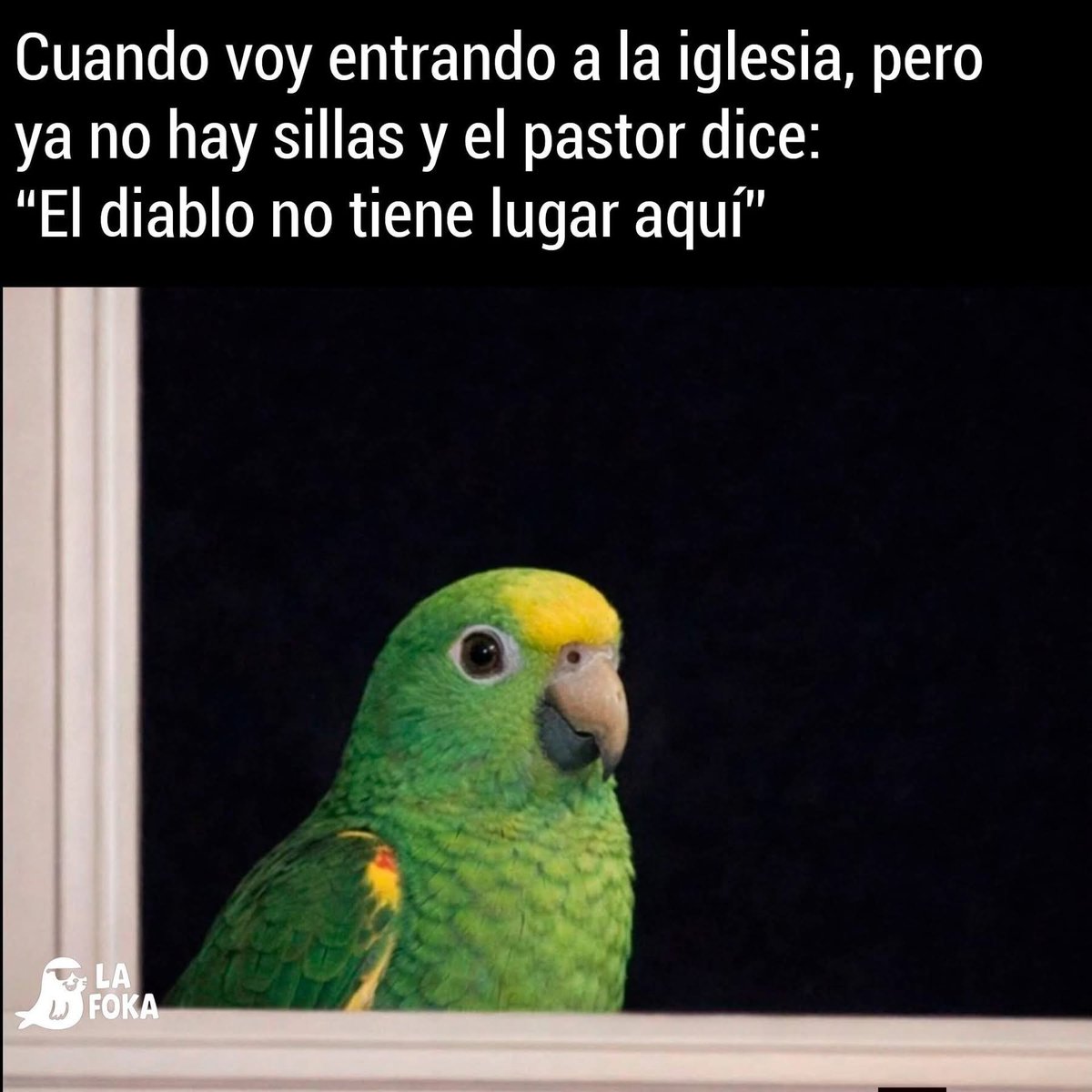 Edel_PV_Olan's tweet photo. #MientrasTanto en #domingo https://t.co/doOPa2FS0v
