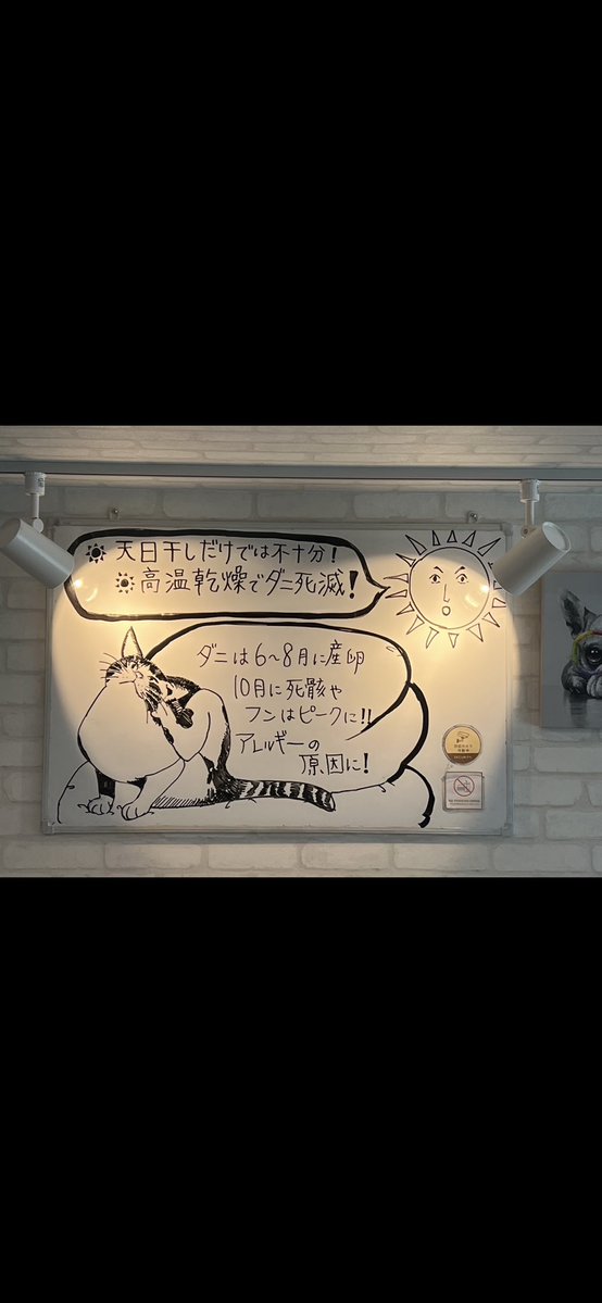 chaosendagi's tweet photo. 🛏️お布団について共有します🫶

敷布団（①・②号機対応）も、たまには丸洗いしてスッキリ・リフレッシュしませんか？✨🔥

初めてご利用の方でもご安心ください😊
スタッフが最初から丁寧に使い方をレクチャーいたします🤗

皆さまのご来店を心よりお待ちしております。 https://t.co/YGER6sGKWU