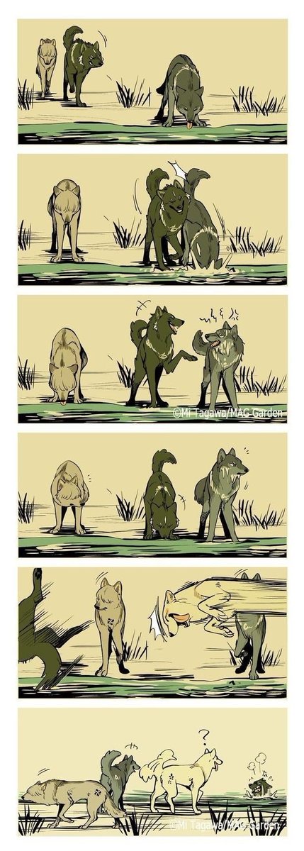 RAREANIMALS7's tweet photo. https://t.co/rLSZmTLzcr