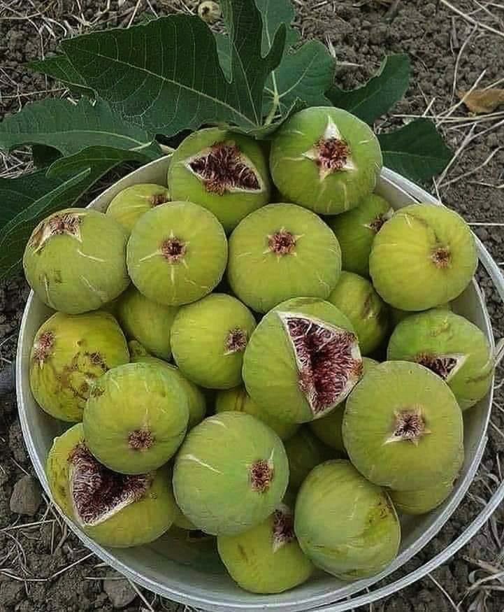خالد الشهري tweet media