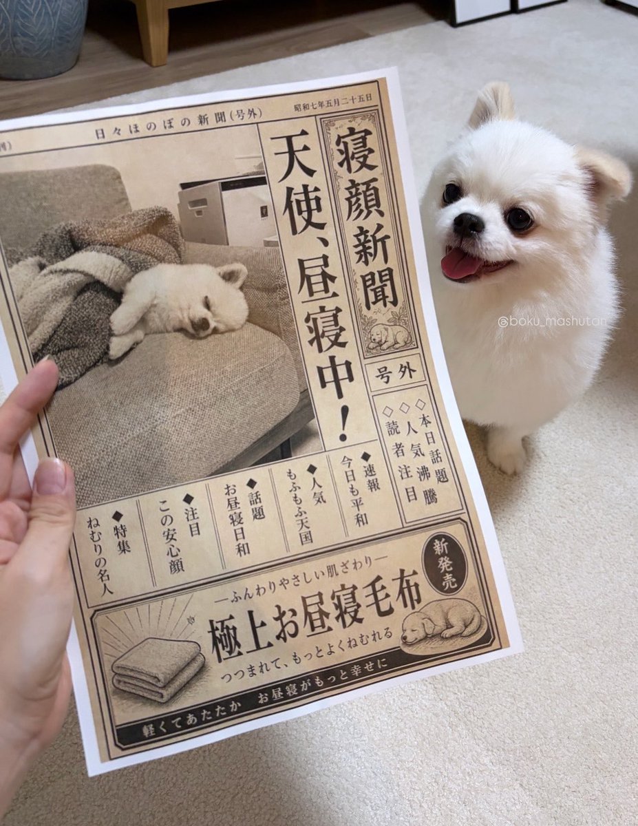 こちら、昼寝してるだけで新聞に載った天使です (LINE Cameraの機能で